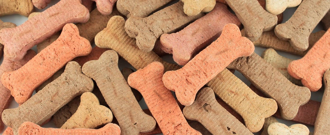 International Dog Biscuit Appreciation Day