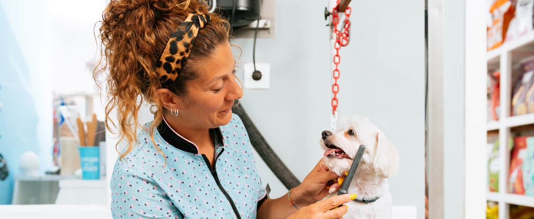 International Pet Groomer Appreciation Day