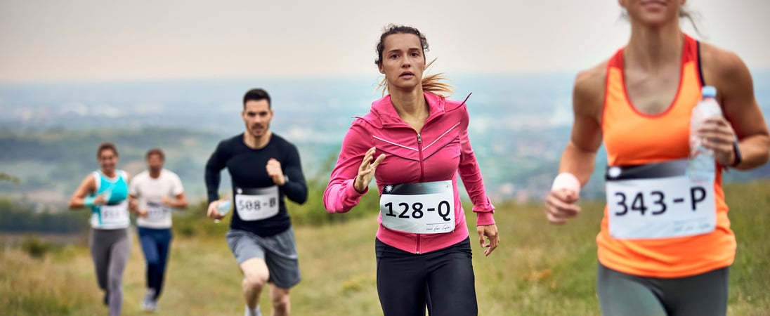 International Snowdon Race