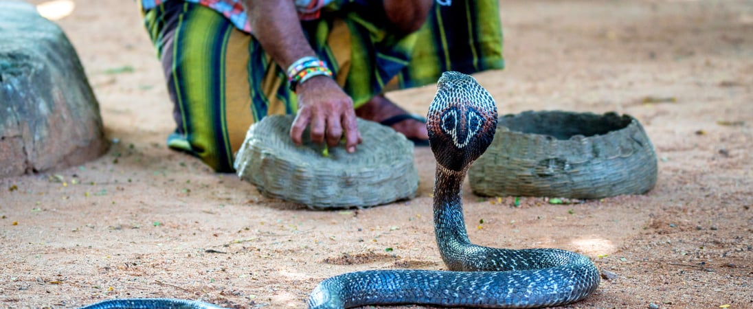 Nag Panchami