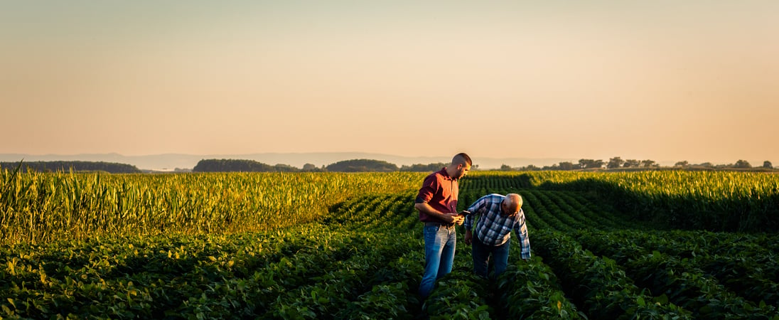 National Agriculture Day