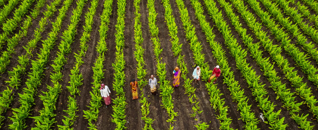 National Agriculture Week