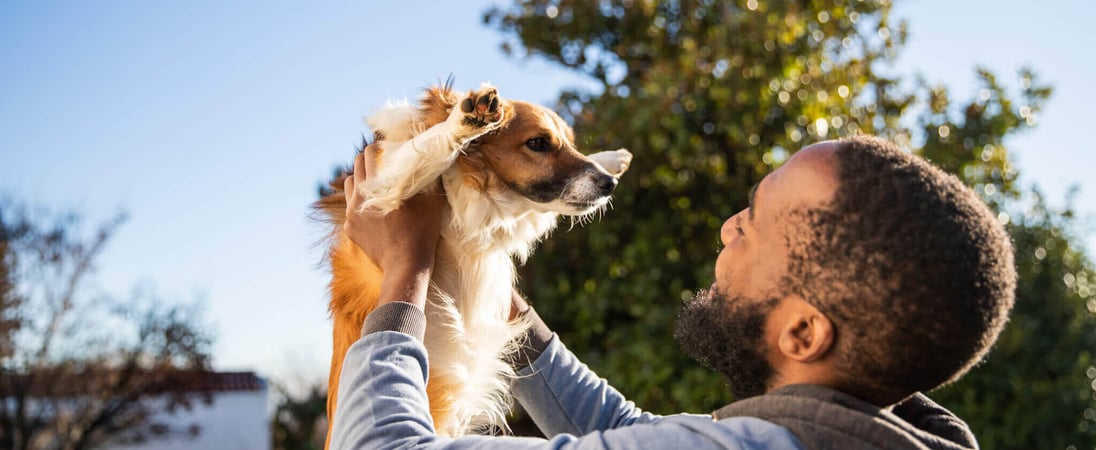 National AKC Responsible Dog Ownership Day