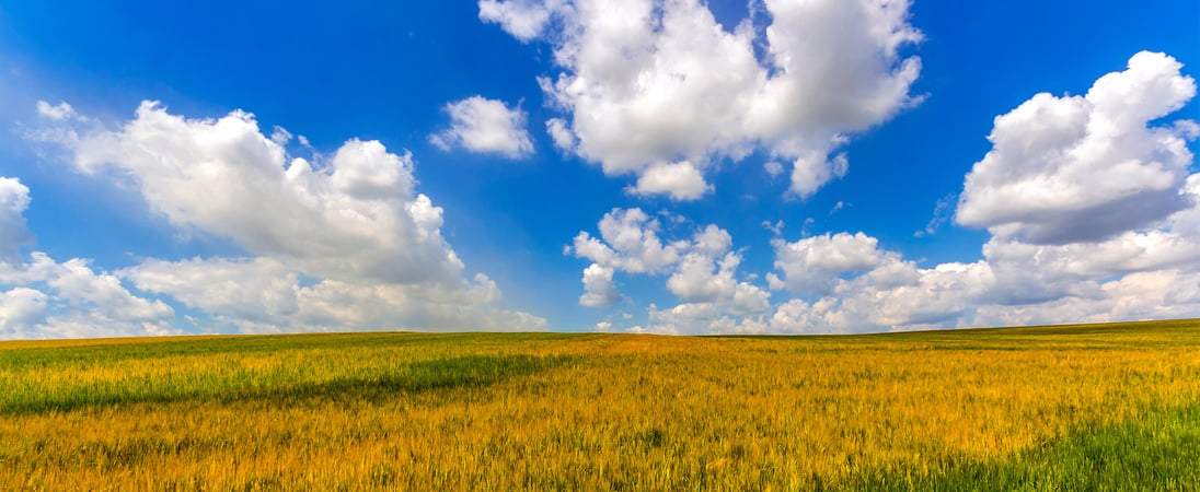 National Prairie Day