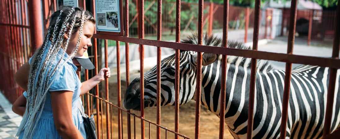 National Zoo Awareness Day