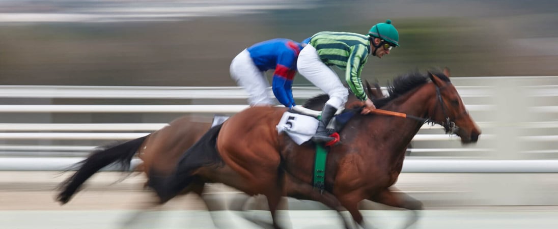 Palio Horse Race in Siena