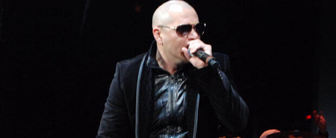 Pitbull