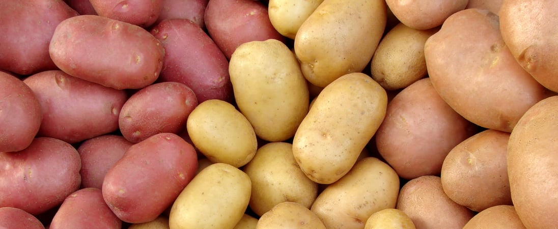 National Potato Day