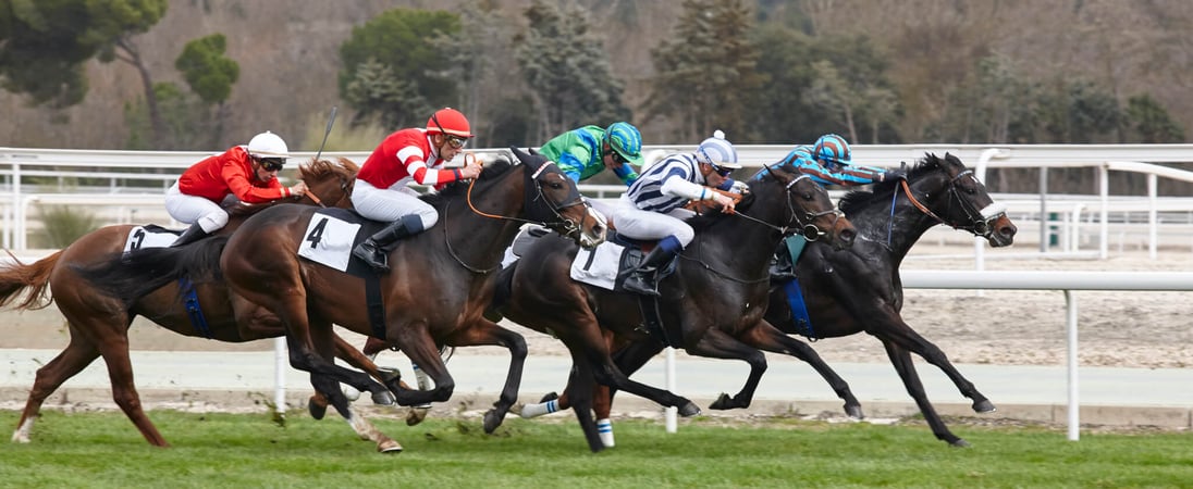 Preakness Stakes