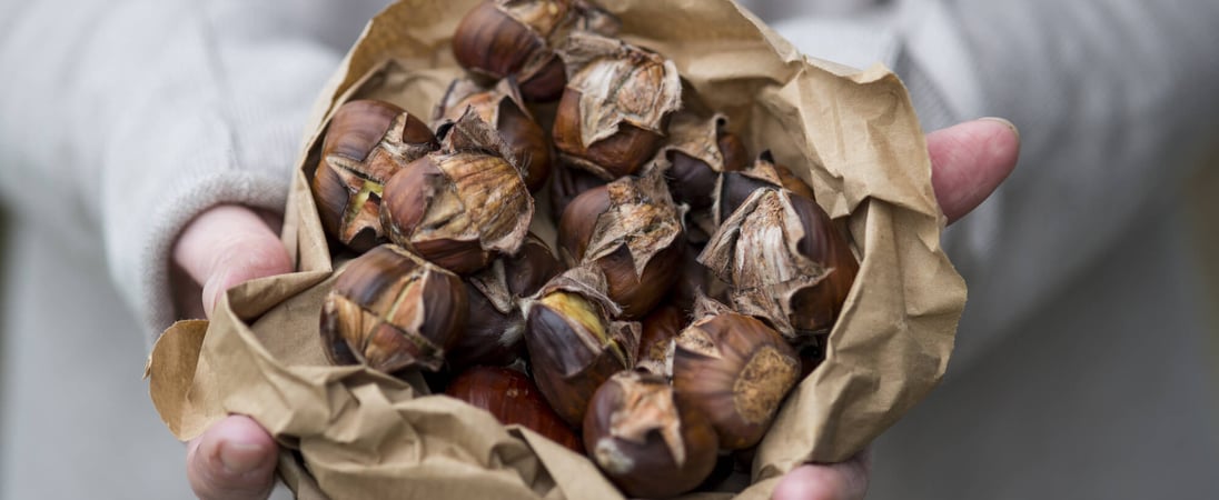 Roast Chestnuts Day