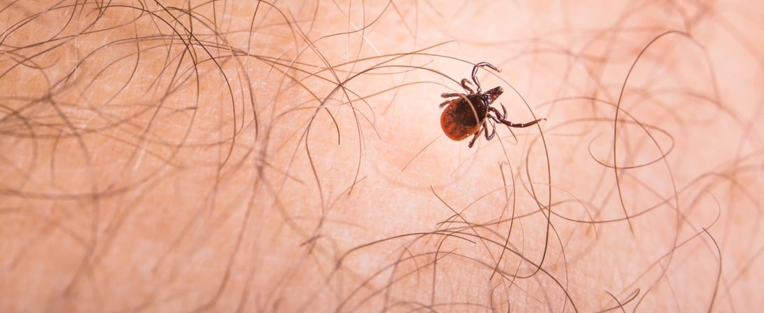 Tick Bite Prevention Week