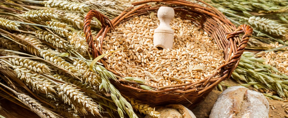 Whole Grains Month