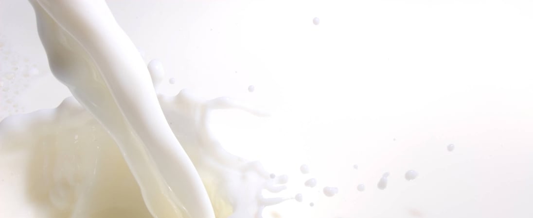 World Milk Day