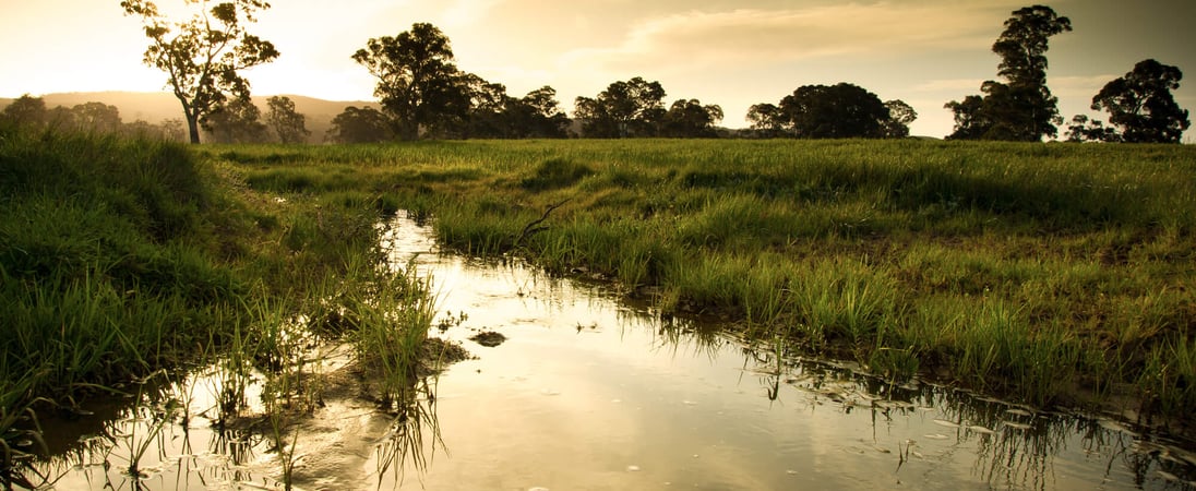 World Wetlands Day