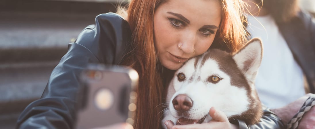 National Dog Photography Day