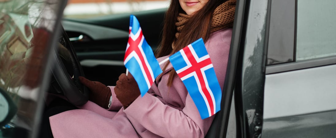 Icelandic Language Day