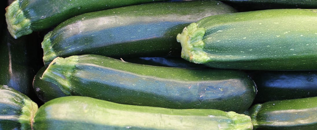 National Sneak Some Zucchini Onto Your Neighbors’ Porch Day