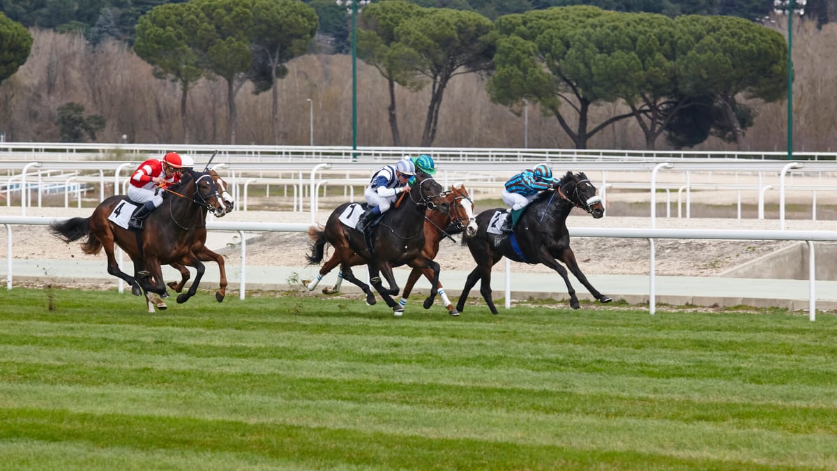 Adelaide Cup Day (March 10th, 2025) Days Of The Year