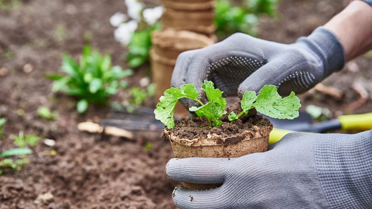 National Garden Month (April 2025) | Days Of The Year