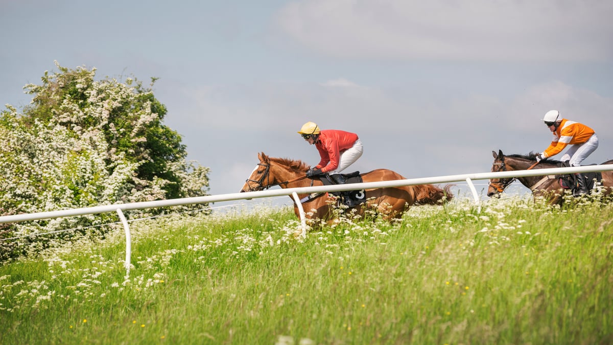 Geelong Cup Day (October 23rd, 2024)