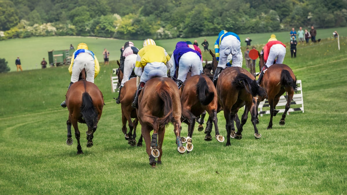 Grand National (April 12th, 2025) Days Of The Year