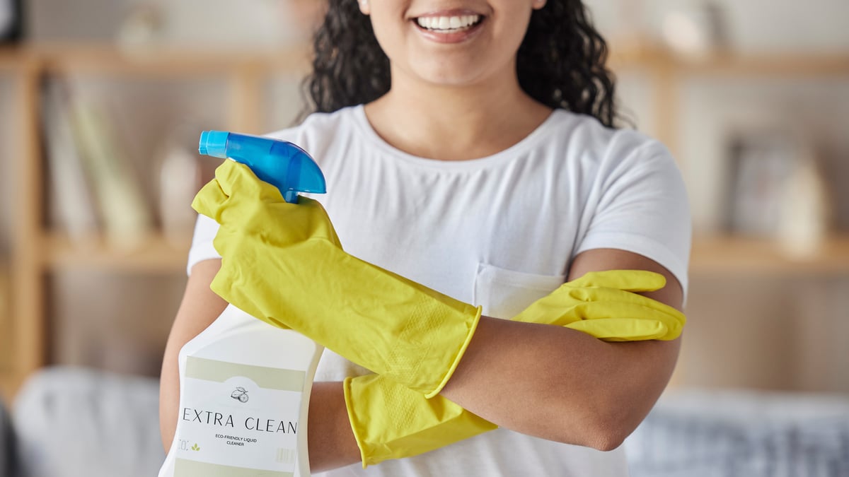 National Professional House Cleaners Day (September 17th)