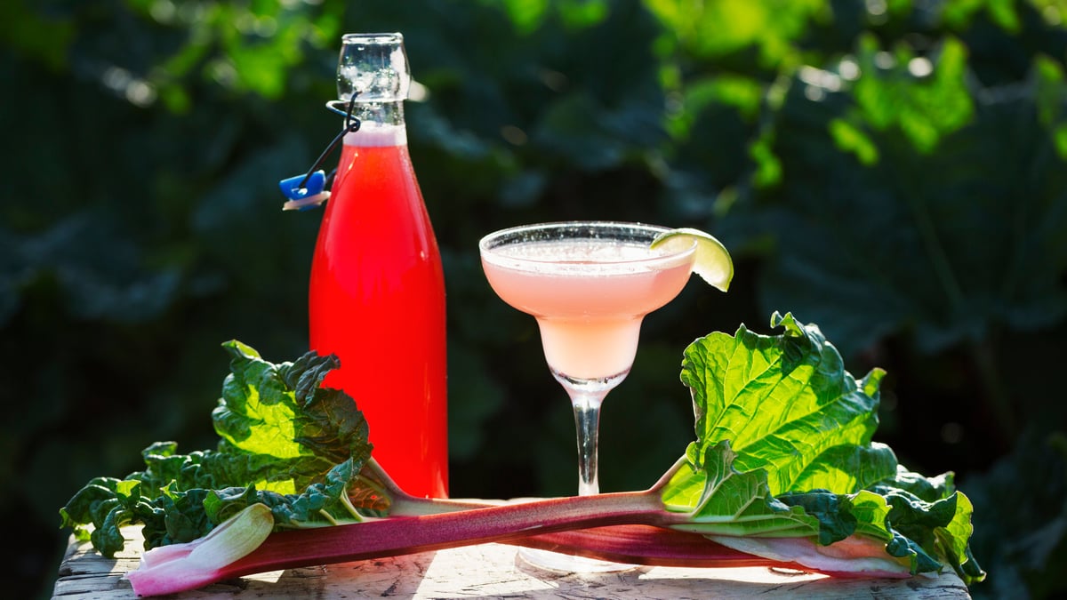 National Rhubarb Vodka Day (December 7th, 2024) Days Of The Year