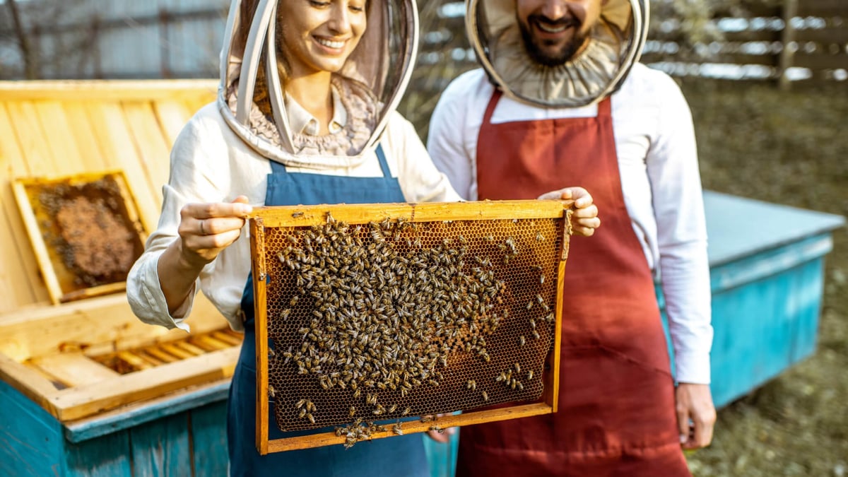 National Urban Beekeeping Day (July 19th)