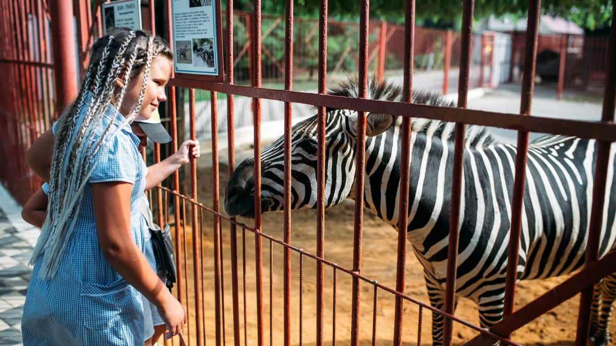 National Zoo Awareness Day (August 31st)