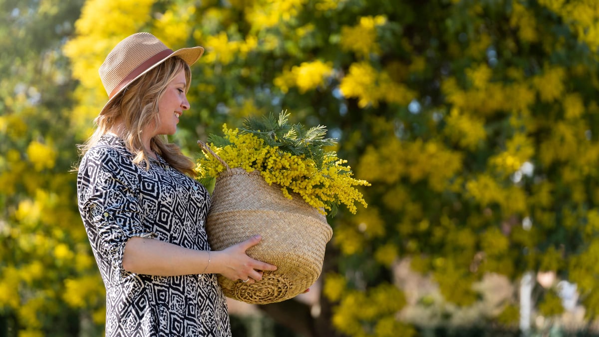 Wattle Day (September 1st)