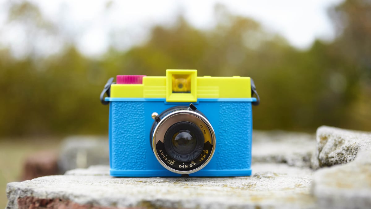 World Toy Camera Day (October 20th, 2024)