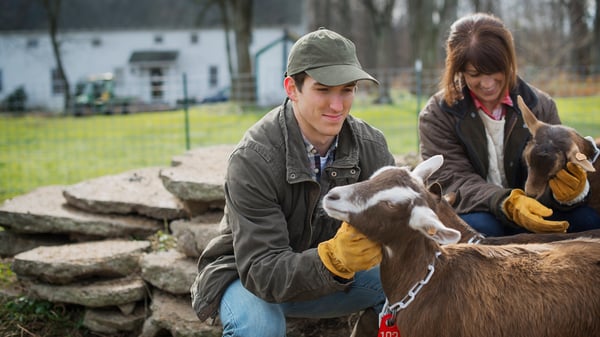 National Animal Safety and Protection Month