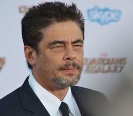 Benicio del Toro