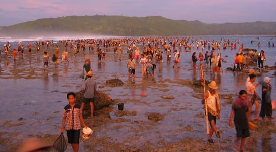 Bau Nyale Festival