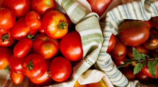 British Tomato Fortnight