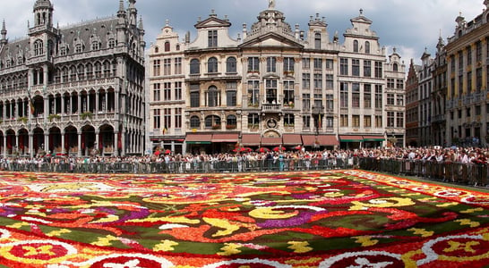 Brussels Flower Carpet