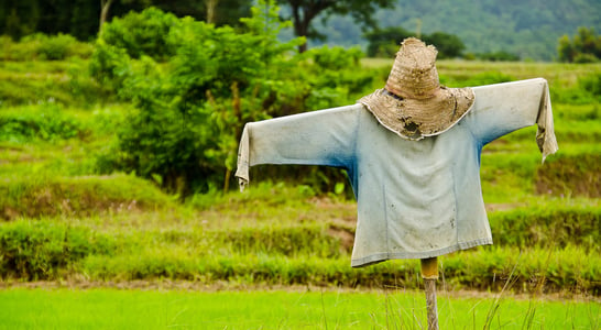 Build A Scarecrow Day