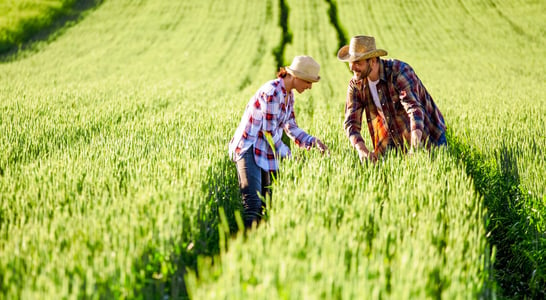 Canada’s Agriculture Day