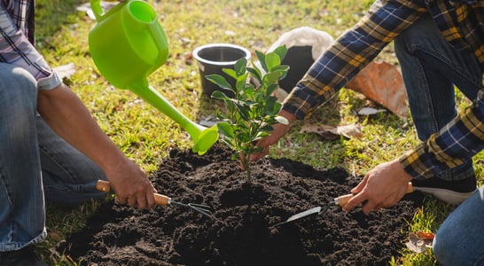 Canadian Environment Week