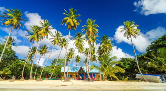 Caribbean American Heritage Month