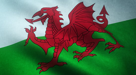 St. David’s Day