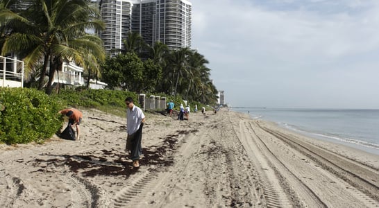 International Coastal Cleanup Day