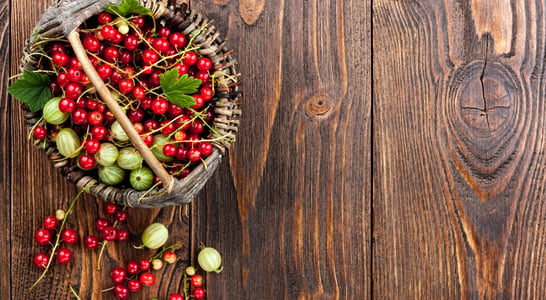 Cranberries and Gooseberries Month