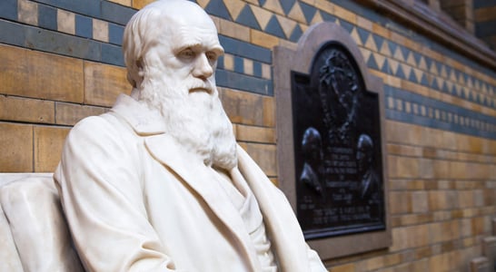 Darwin Day