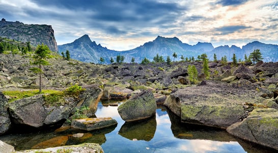 Discover National Parks Fortnight