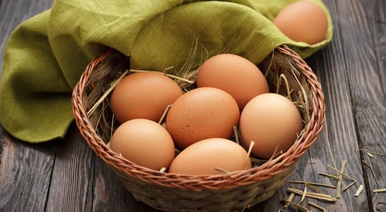 World Egg Day