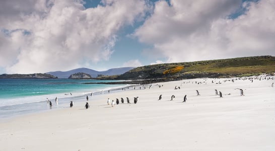 Falkland Islands Liberation Day