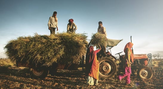 National Farm Workers Day