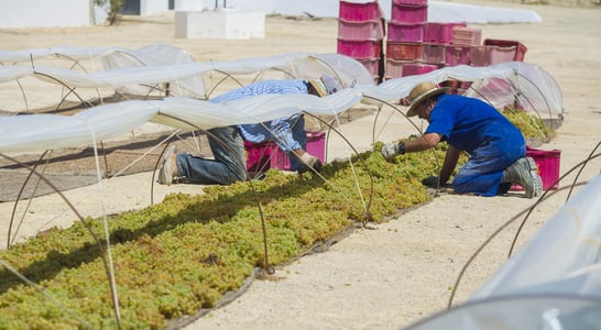 Farmworker Appreciation Day