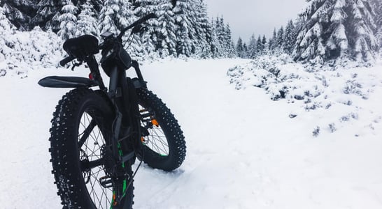 Global Fat Bike Day